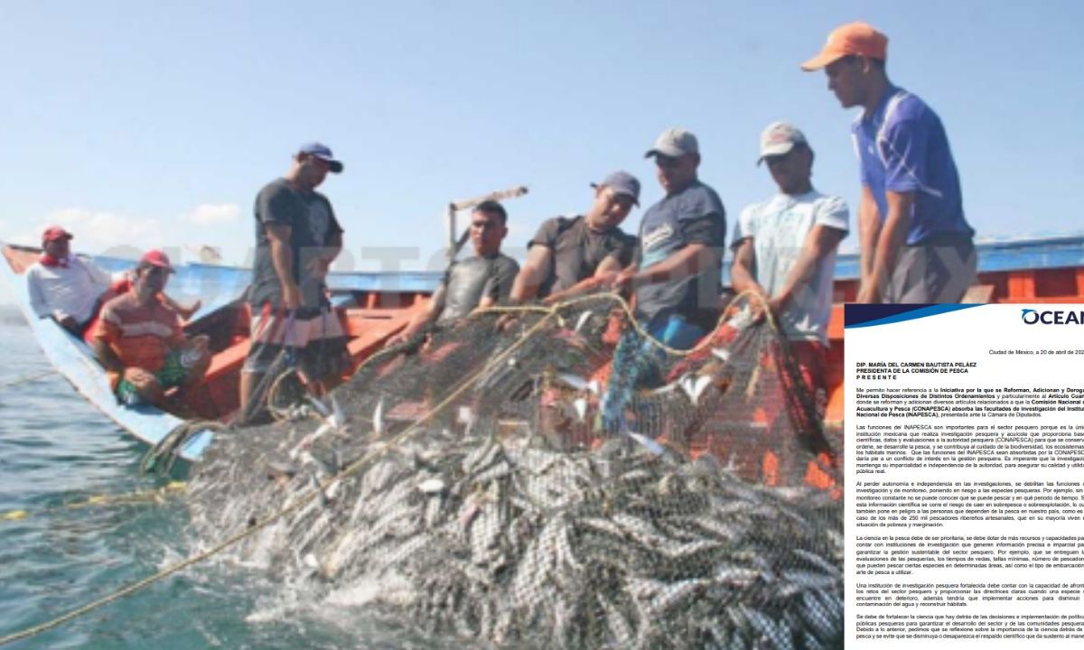 La iniciativa de AMLO que propone el traslado de las funciones del Inapesca a la Conapesca pondría en riesgo al sector pesquero