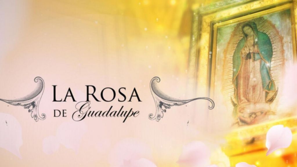 “La Rosa de Guadalupe” , es una de las series de television mexicana mas exitosas desde 2008