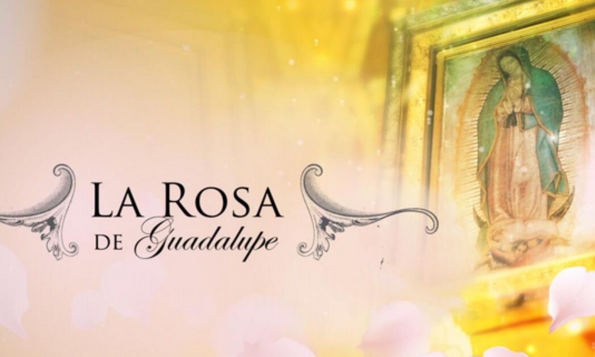 “La Rosa de Guadalupe” , es una de las series de television mexicana mas exitosas desde 2008