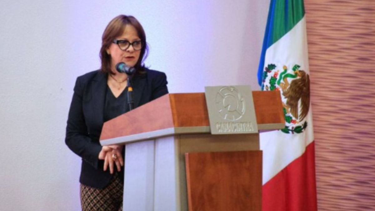 La subsecretaria para Asuntos Multilaterales y Derechos Humanos de la SRE, Martha Delgado, anunció su renuncia al cargo