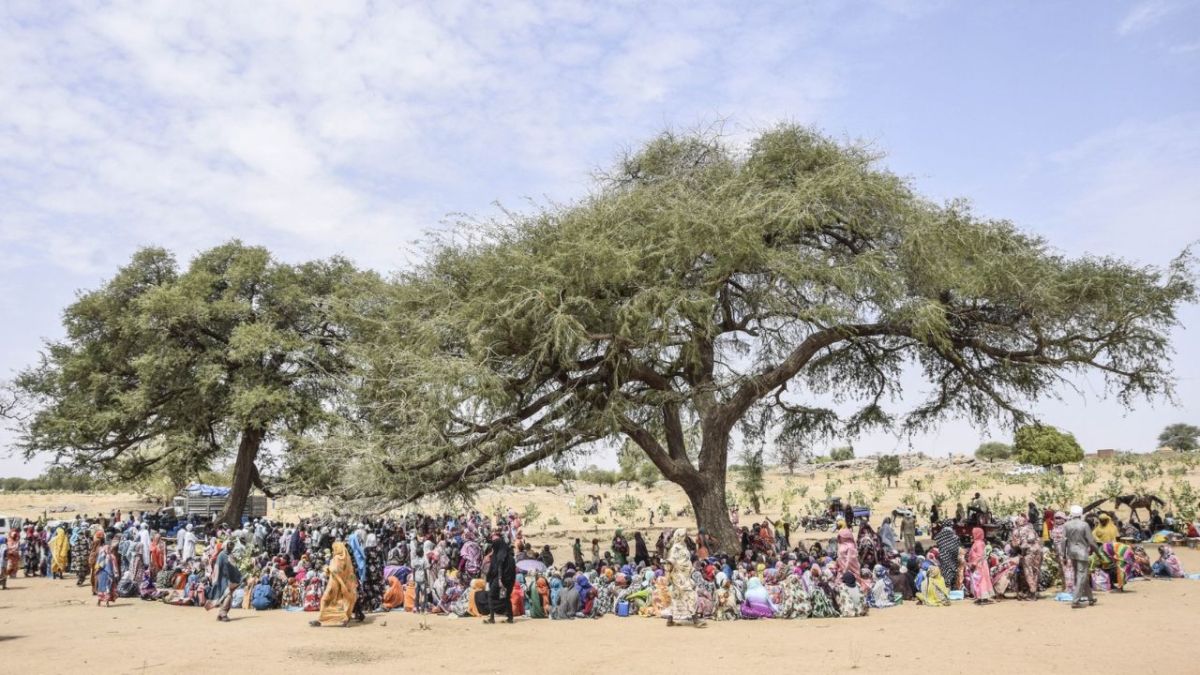 "Más de 800 mil personas" podrían huir de los combates en Sudán, alertó este lunes el Alto Comisionado de la ONU