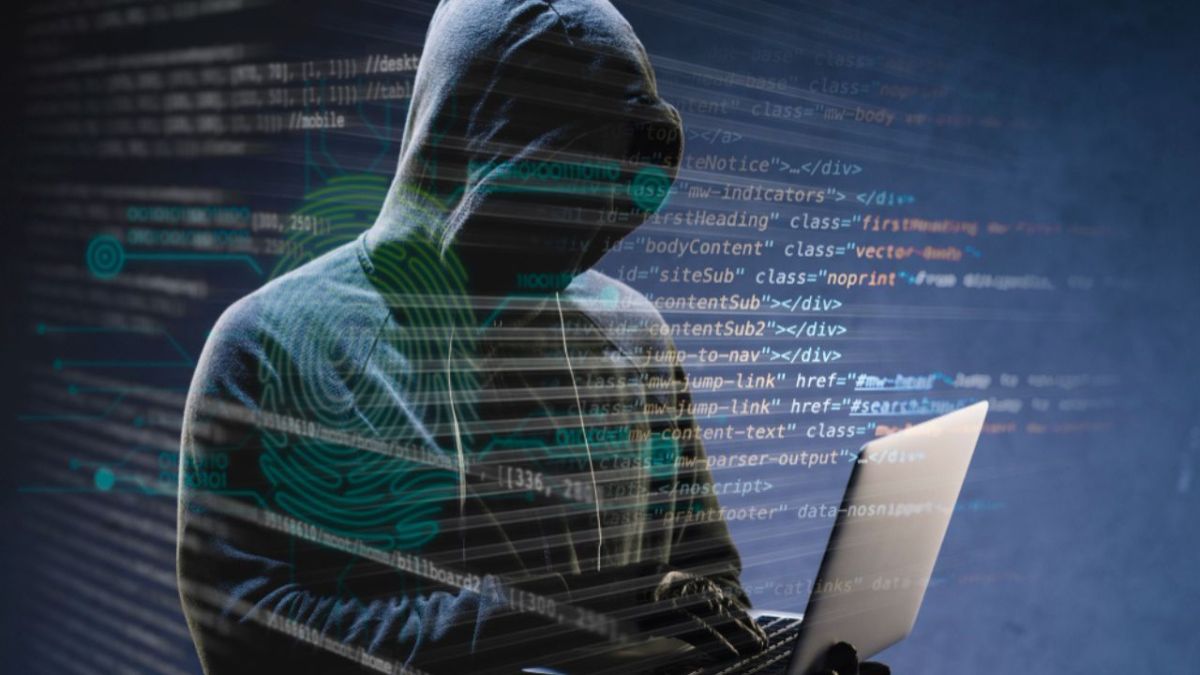 Una operación policial internacional clausuró un portal de la "dark web", la parte oculta de internet