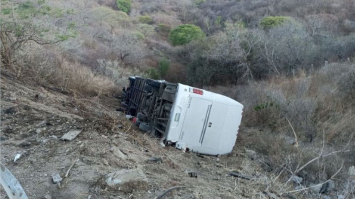 Foto:Twitter/@PCJalisco|¡Tragedia! Autobús cae a barranco; viajaba el equipo infantil de futbol de Colima