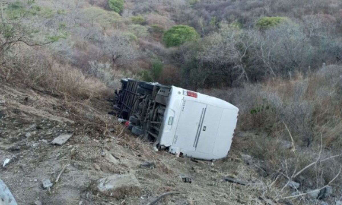Foto:Twitter/@PCJalisco|¡Tragedia! Autobús cae a barranco; viajaba el equipo infantil de futbol de Colima