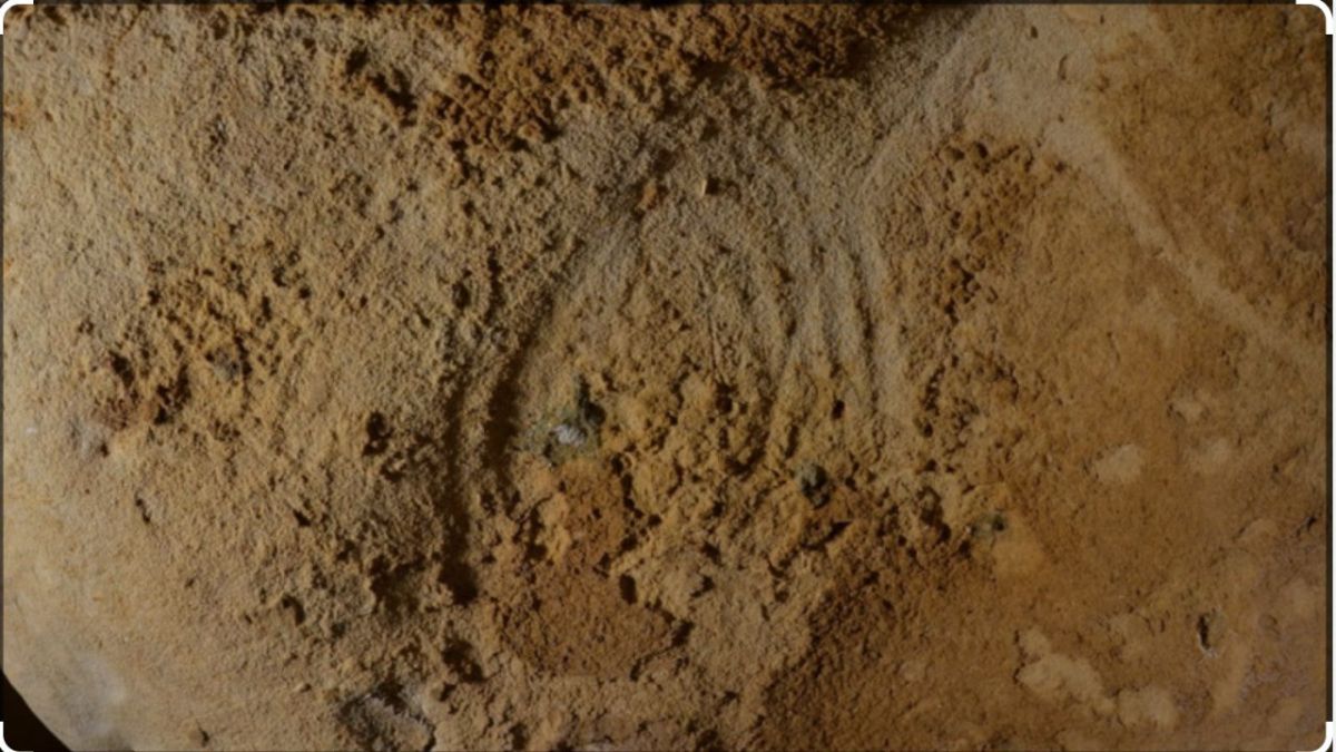 Grabados realizados con los dedos por neandertales hace al menos 57 mil años en las paredes calcáreas de una gruta fueron identificados por científicos