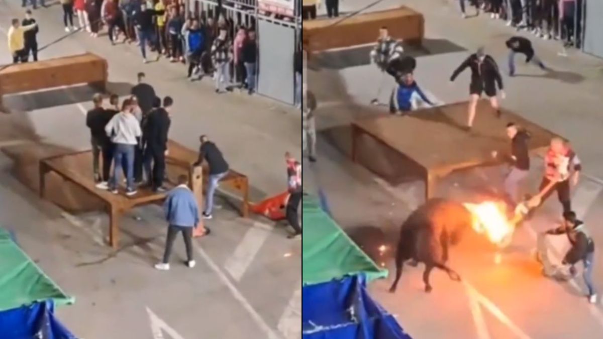 Foto:Captura de pantalla|VIDEO: Toro embiste a hombre quien prendió fuego a sus cuernos
