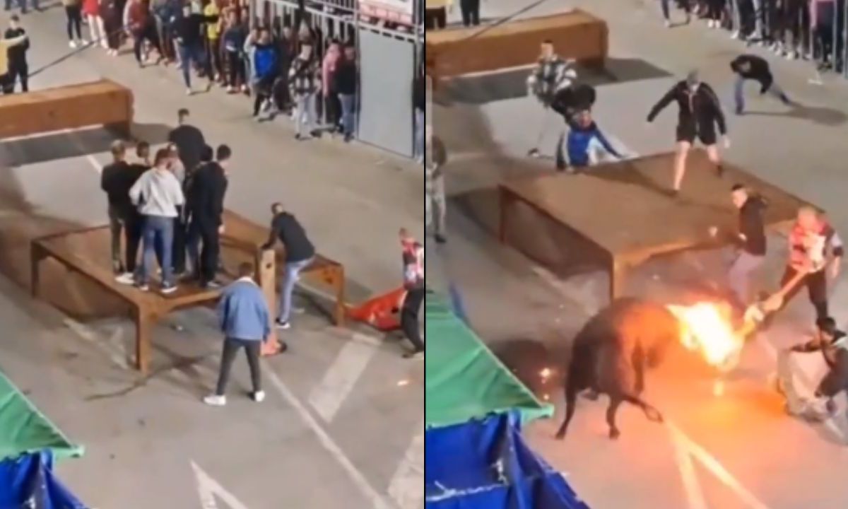 Foto:Captura de pantalla|VIDEO: Toro embiste a hombre quien prendió fuego a sus cuernos