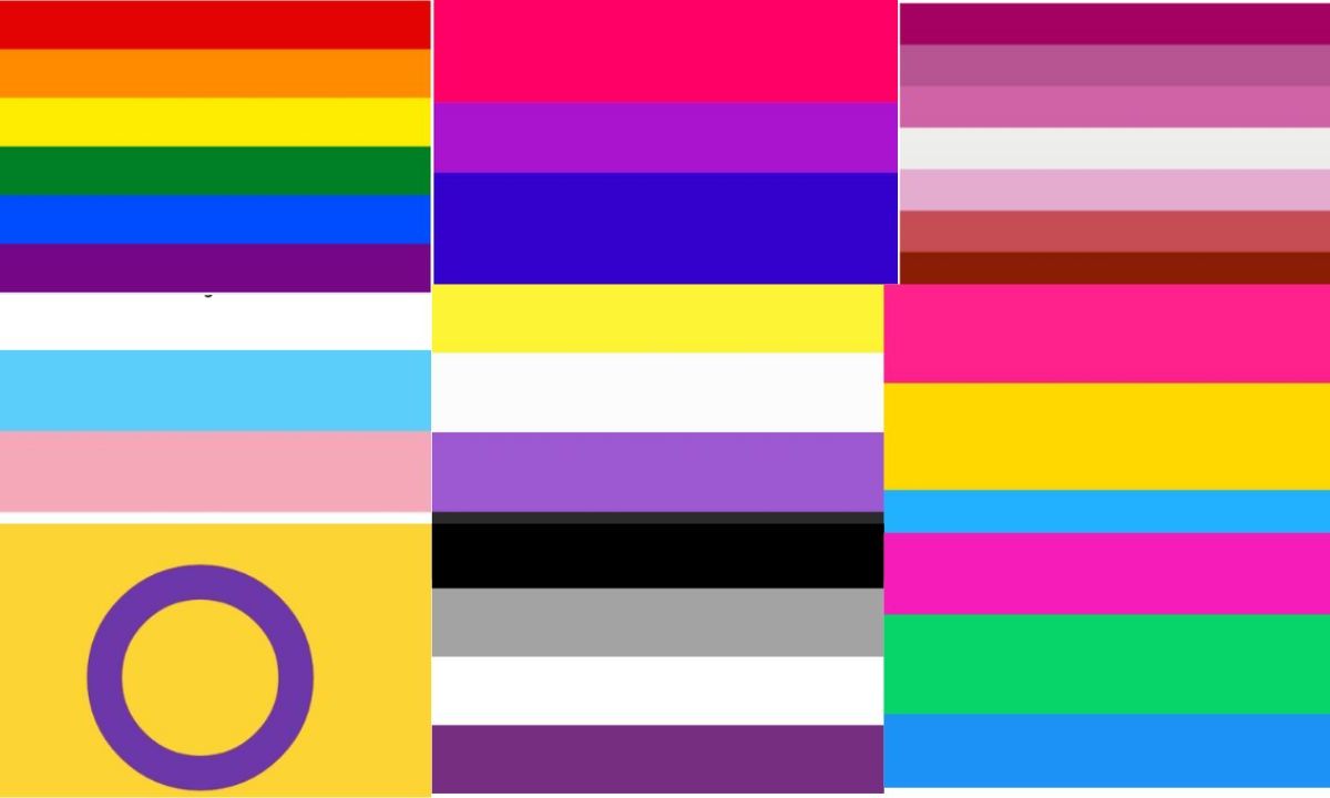 Foto:Redes sociales|Conoce cuántas banderas LGBT+ existen y qué significan