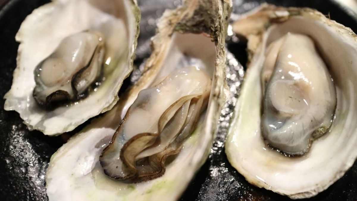 Foto:Pixabay|¡Tragedia! Hombre muere tras comer ostra con una bacteria