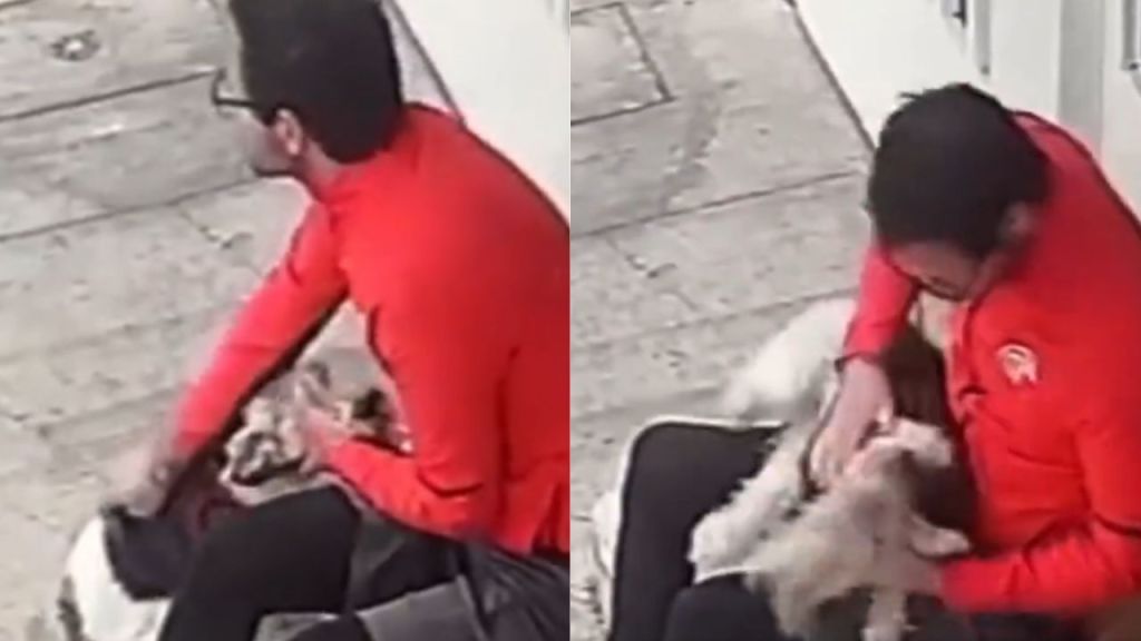 Sujeto golpea a un perro en el rostro en calles de la alcaldía Benito Juárez; lo están buscando