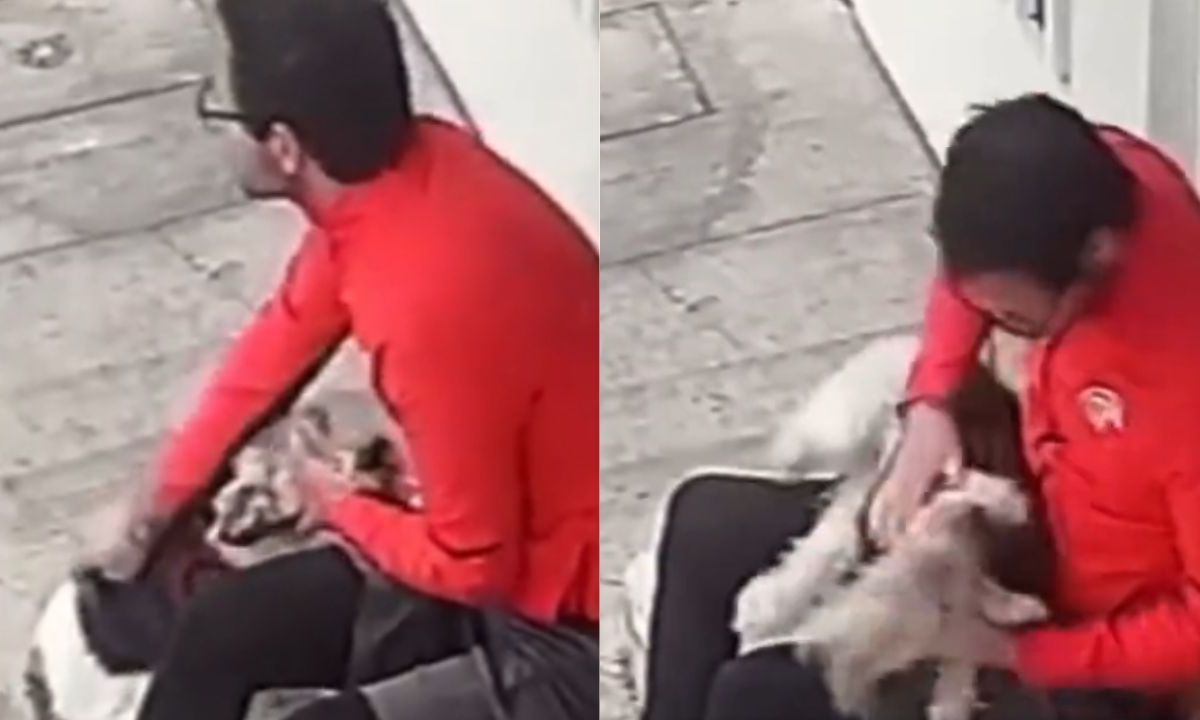 Sujeto golpea a un perro en el rostro en calles de la alcaldía Benito Juárez; lo están buscando
