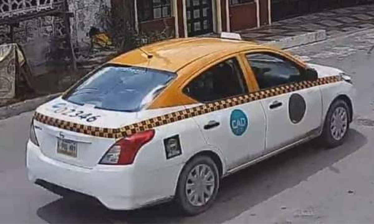 Taxista atropella y mata a perrito callejero en Cadereyta.