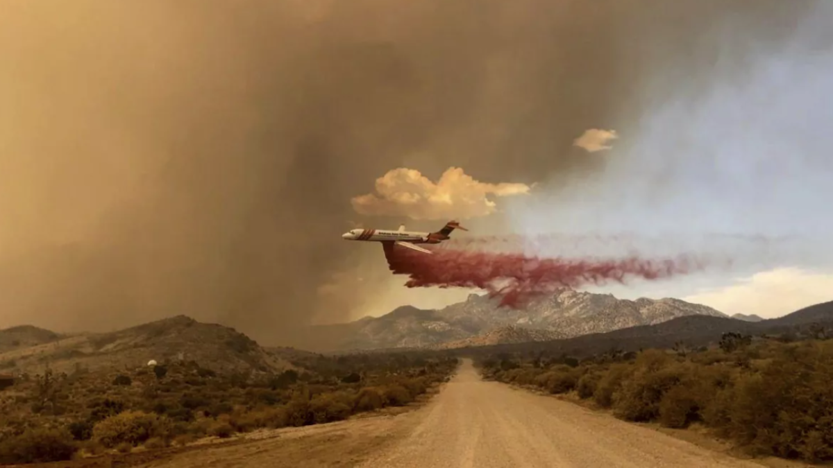 Incendio en desierto de Mojave. Foto: R. Almendinger/ InciWeb /Reserva Nacional de Mojave del Servicio de Parques Nacionales.
