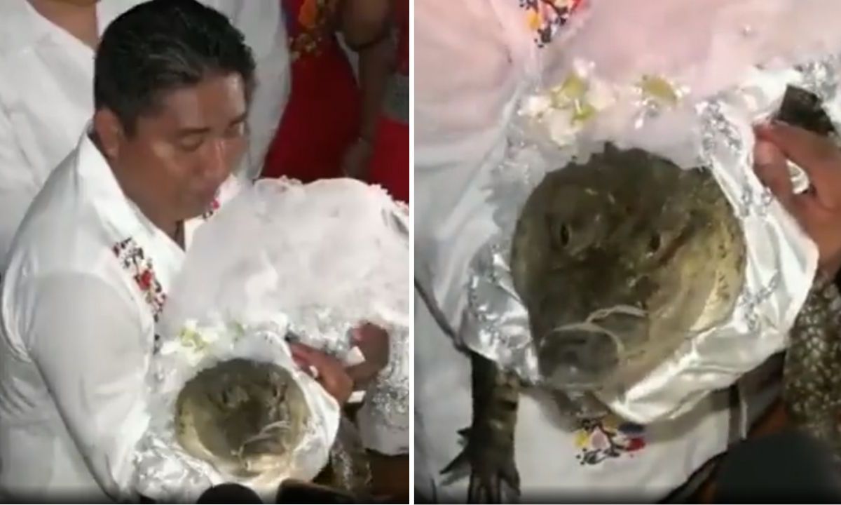 Alcalde en Oaxaca celebra boda con caimán.