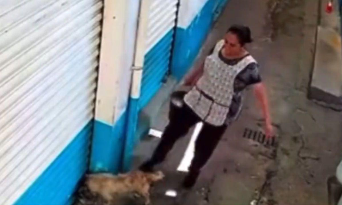 Exhiben en video a mujer por maltratar a un animal en un mercado en Ciudad Cuauhtémoc.