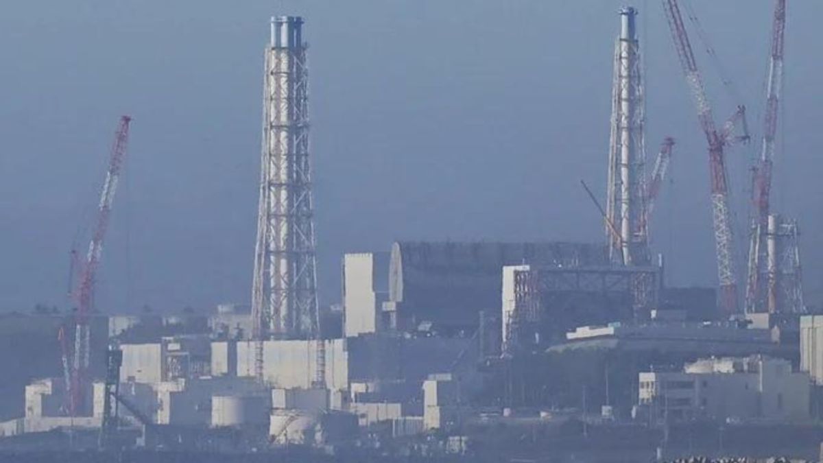 Ante la liberación de aguas residuales desde Fukushima, China prohibió el ingreso de productos del mar procedentes de Japón