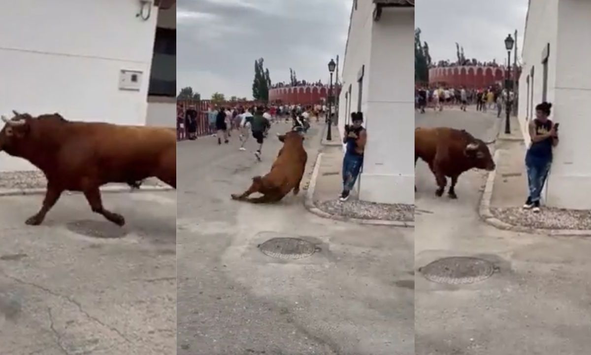 Mujer es corneada por un toro en España; se distrajo en su celular.