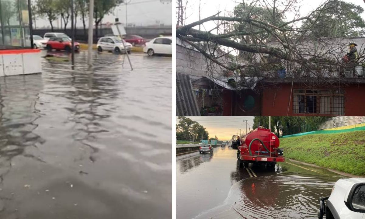 Durante la tarde de este viernes 18 de agosto, se registró una fuerte lluvia en la Ciudad de México, lo que dejó encharcamientos y caída de árboles en algunas alcaldías.
