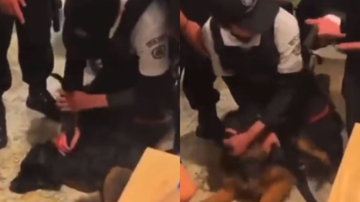 Foto:Captura de pantalla|VIDEO: Denuncian maltrato animal en una plaza; perrito quería refugiarse de la lluvia