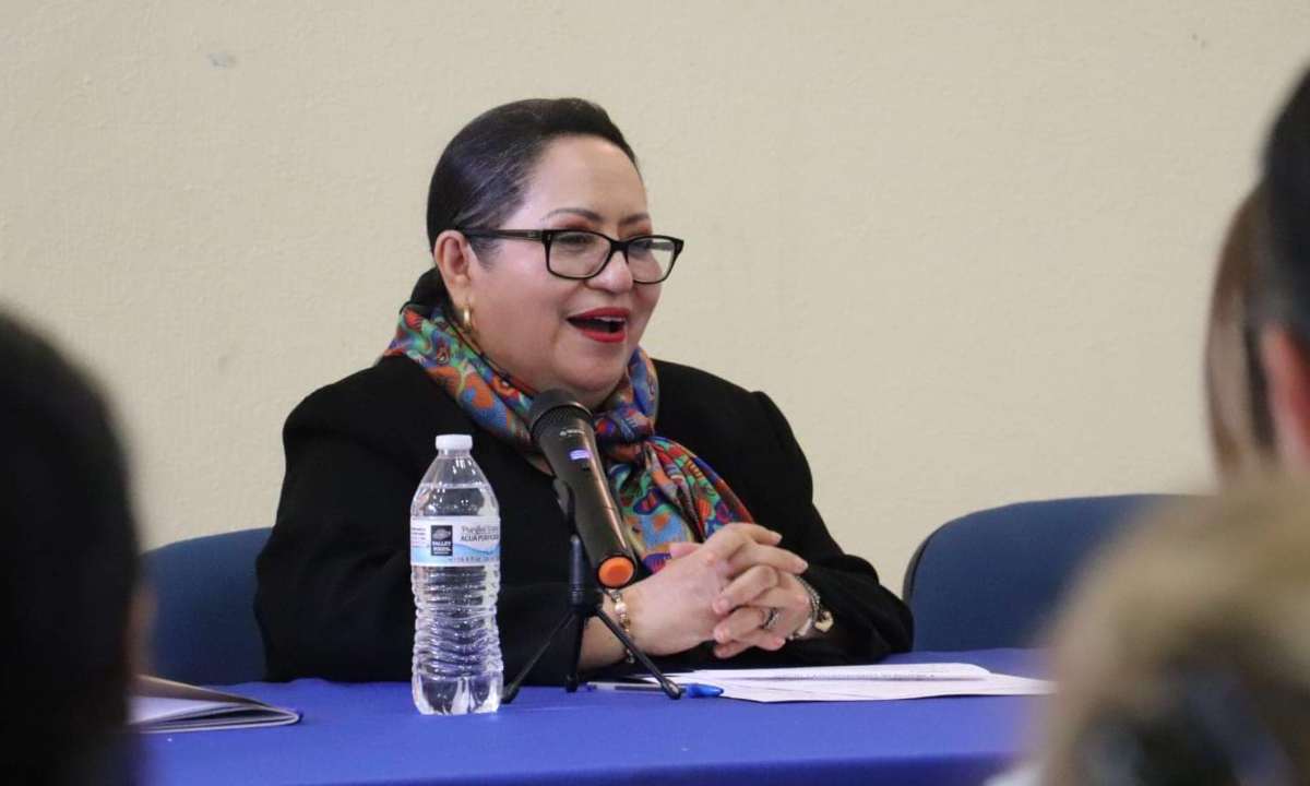 Durante una sesión del Consejo General Universitario para el proceso de renovación de la rectoría de la Universidad de Guanajuato, se señaló a Teresita de Jesús Rendón Huerta Barrer de presunto plagio.