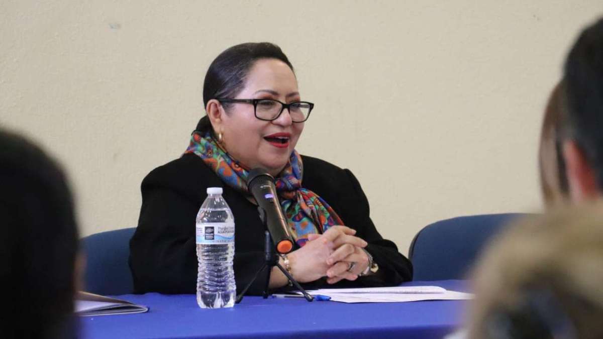 Durante una sesión del Consejo General Universitario para el proceso de renovación de la rectoría de la Universidad de Guanajuato, se señaló a Teresita de Jesús Rendón Huerta Barrer de presunto plagio.
