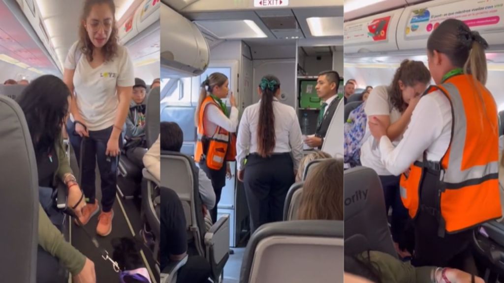 Pasajeros de Viva Aerobus intervinieron para evitar que una joven fuera bajada de la nave junto con su perrito de apoyo emocional que no tenía puesto su bozal