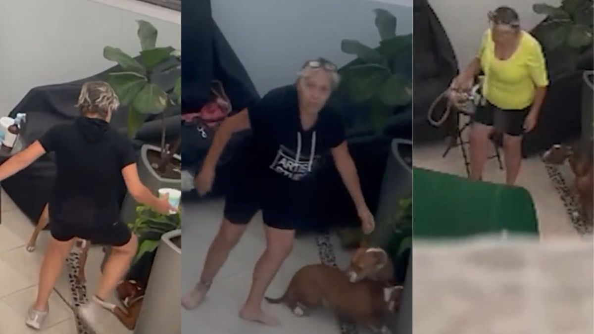 Captan a mujer golpeando a perritos en la alcaldía Benito Juárez