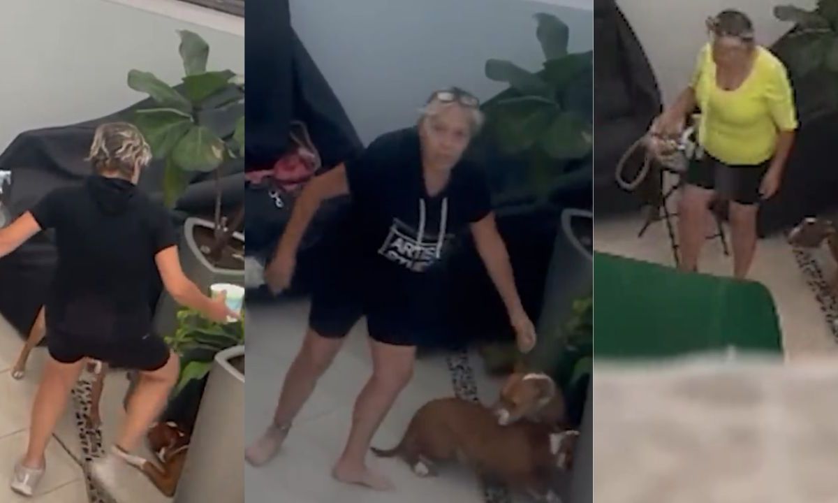 Captan a mujer golpeando a perritos en la alcaldía Benito Juárez