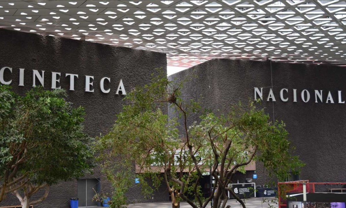 La Cineteca Nacional celebrará su 50 aniversario de creación, ofreciendo al público funciones gratuitas en todas sus salas y proyecciones.