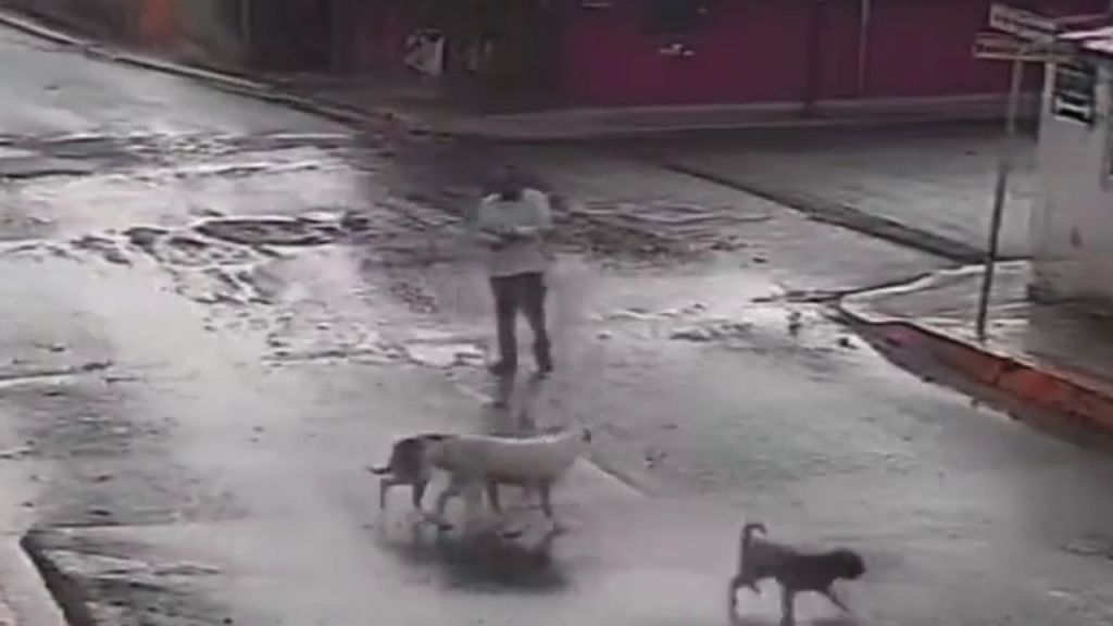 El hombre -en presunto estado de ebriedad- disparó al aire para ahuyentar a perritos en Puebla