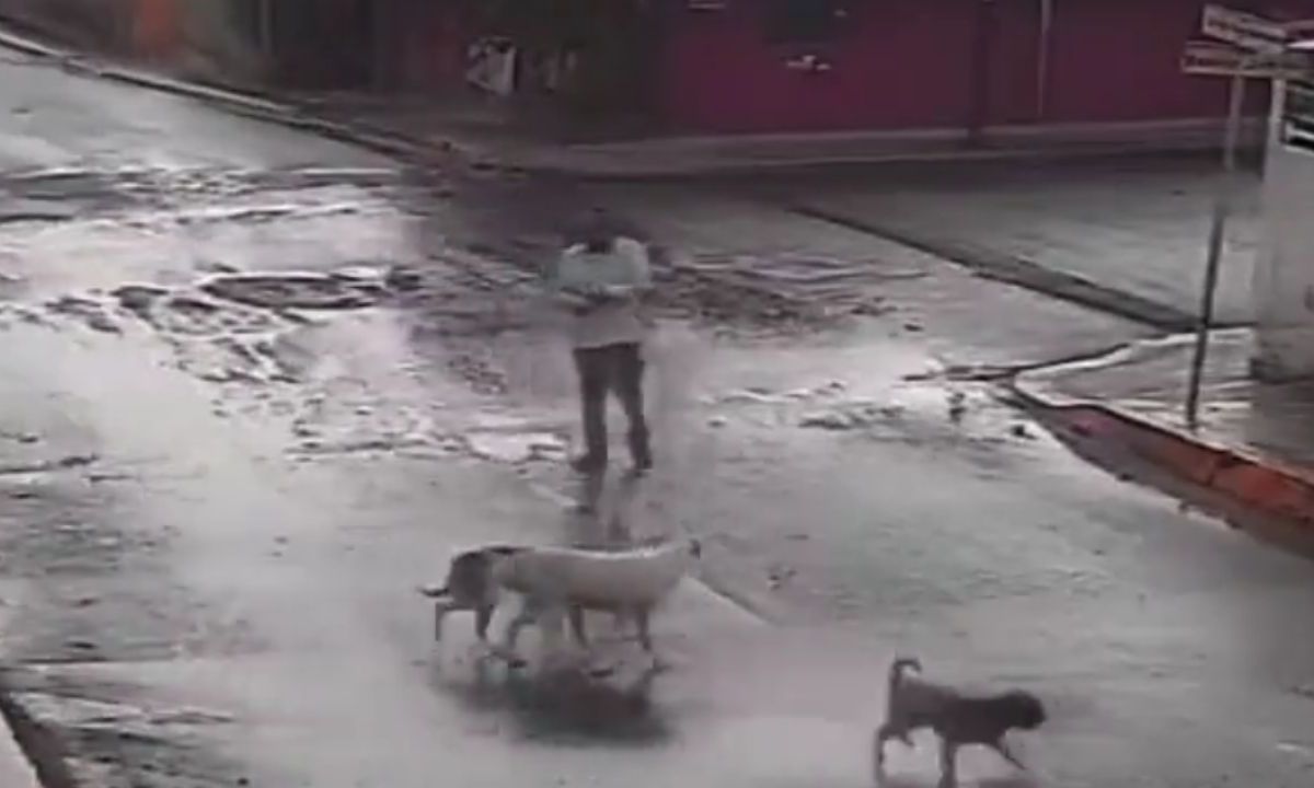 El hombre -en presunto estado de ebriedad- disparó al aire para ahuyentar a perritos en Puebla