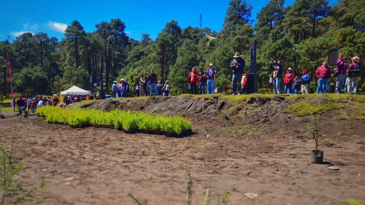 La mañana de este sábado se llevó a cabo el proyecto "Restauratón" en el Ajusco, impulsado por el Gobierno de la Ciudad de México, la Secretaría del Medio Ambiente (SEDEMA) y la Comisión de Recursos Naturales (CORENADR).