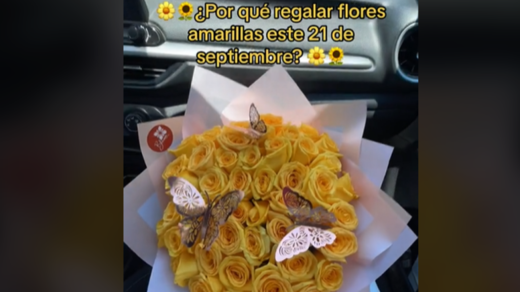 Tras la inicio de la primavera en Argentina y por la novela ‘Floricienta’, este 21 de septiembre se regalan flores amarillas