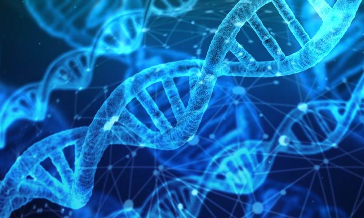Investigadores de Google DeepMind, la rama de inteligencia artificial (IA) del gigante tecnológico, presentaron este martes una herramienta que predice si las mutaciones genéticas pueden causar daños