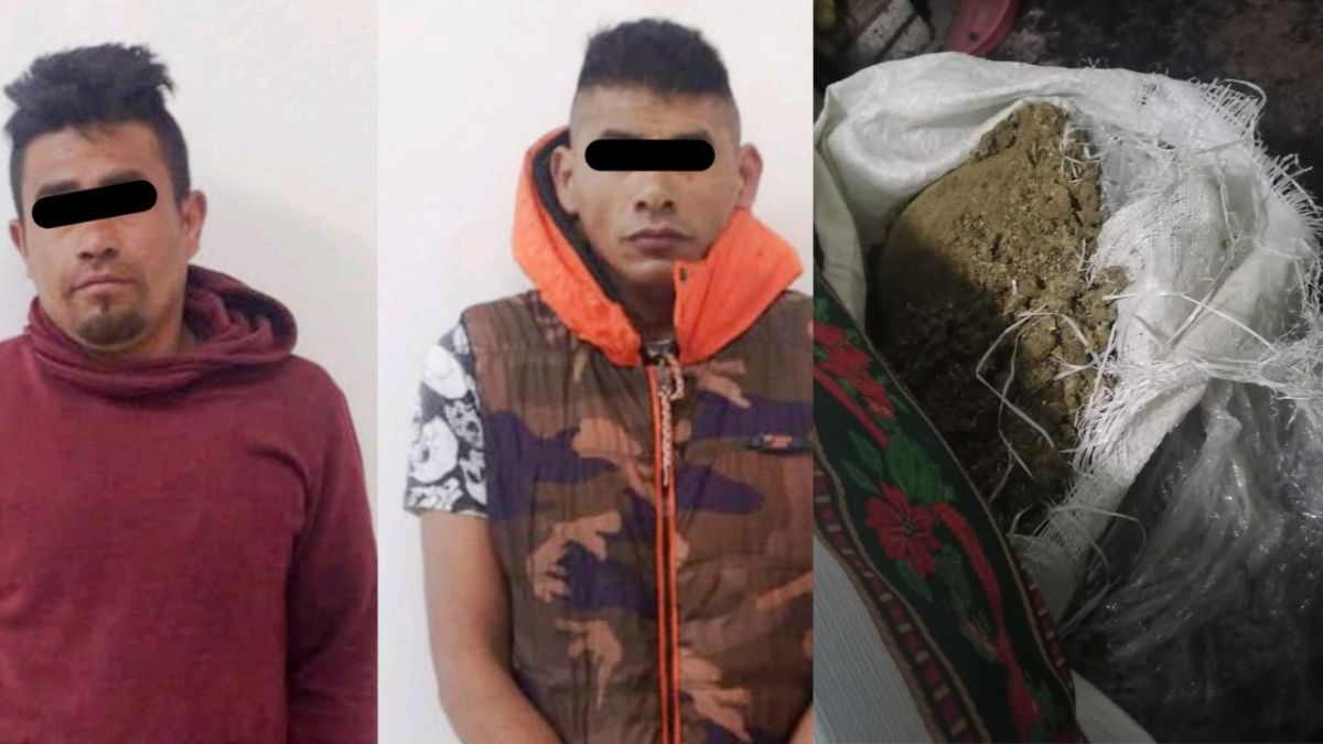 Detuvieron a dos hombres y se decomisaron 20 kilos de marihuana y 1 kilo de metanfetaminas en narcotienda ubicada en Ecatepec