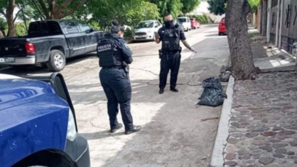 Vecinos del municipio de Correjidora, localizaron los restos de un perrito al interior de una bolsa negra