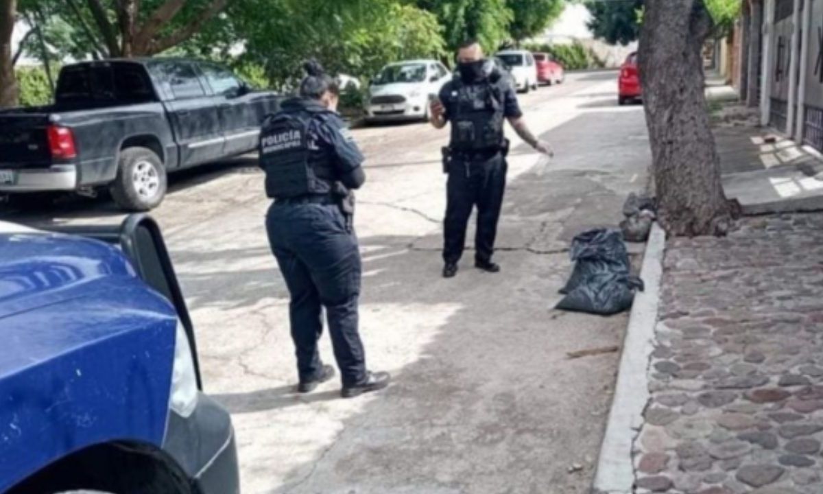 Vecinos del municipio de Correjidora, localizaron los restos de un perrito al interior de una bolsa negra