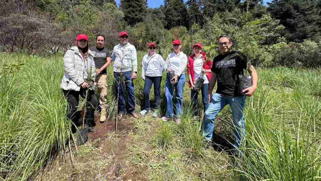 Con el objetivo de recuperar el paraje “La Loma”, la alcaldía Cuajimalpa con voluntarios Banorte, realizaron una reforestación de 500 árboles