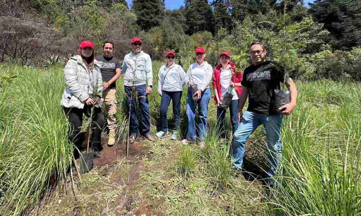 Con el objetivo de recuperar el paraje “La Loma”, la alcaldía Cuajimalpa con voluntarios Banorte, realizaron una reforestación de 500 árboles