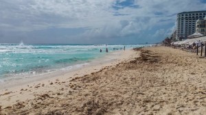 Disminuye recale de sargazo en las playas de Cancún. Noticias en tiempo real