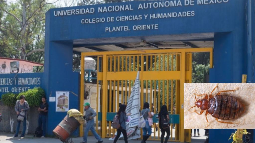 Ante fumigación por chinches los cinco planteles del CCH de la UNAM suspenden actividades presenciales