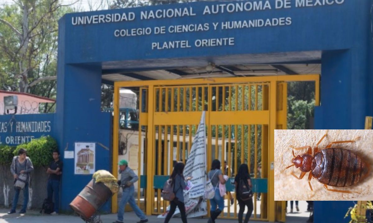 Ante fumigación por chinches los cinco planteles del CCH de la UNAM suspenden actividades presenciales