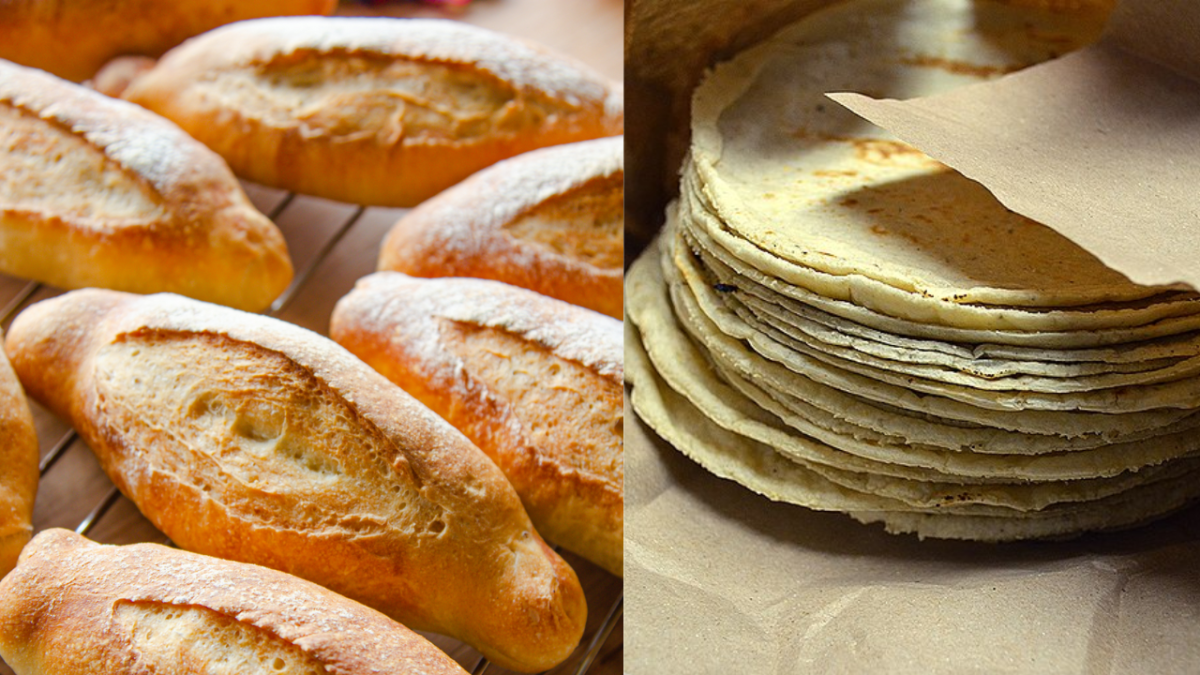 ¡Tómalo en cuenta! ¿Qué engorda más el bolillo o las tortillas?