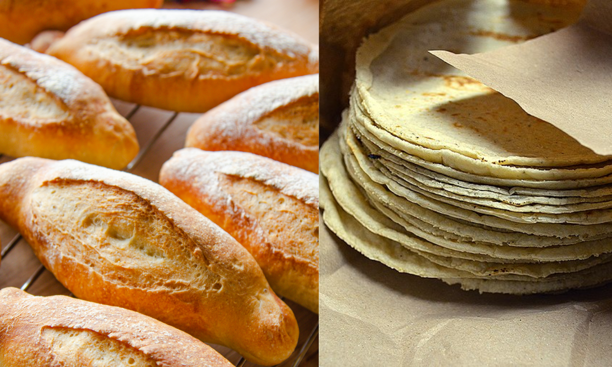 ¡Tómalo en cuenta! ¿Qué engorda más el bolillo o las tortillas?