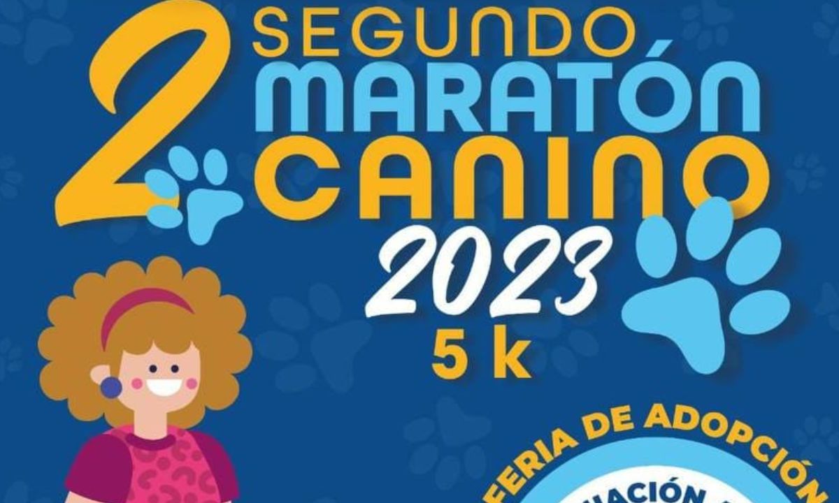 maratón canino