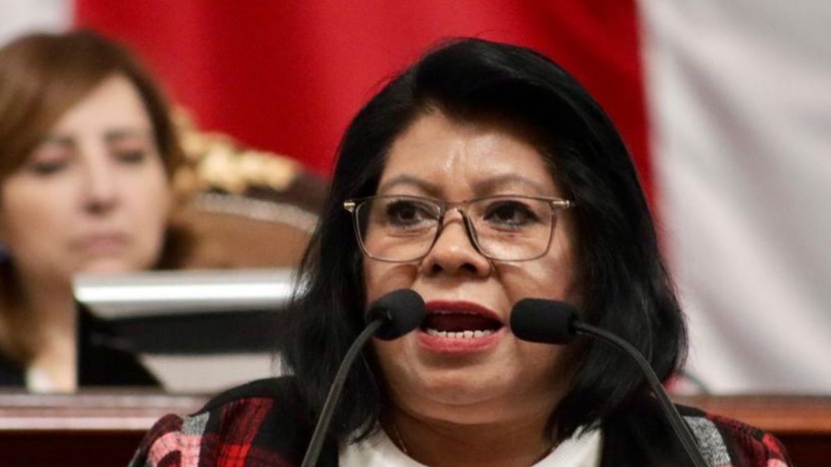 Para proteger a los infantes y adolescentes, la diputada del tricolor Guadalupe Barrón propuso ante el Congreso de la Ciudad de México una iniciativa de reforma