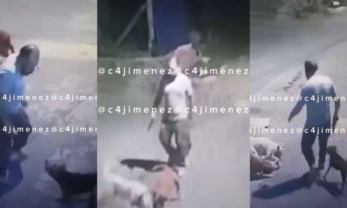 Sujeto patea a perritos callejeros en calles de Xochimilco