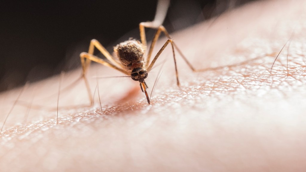 los mosquitos son de los insectos que más enfermedades transmiten