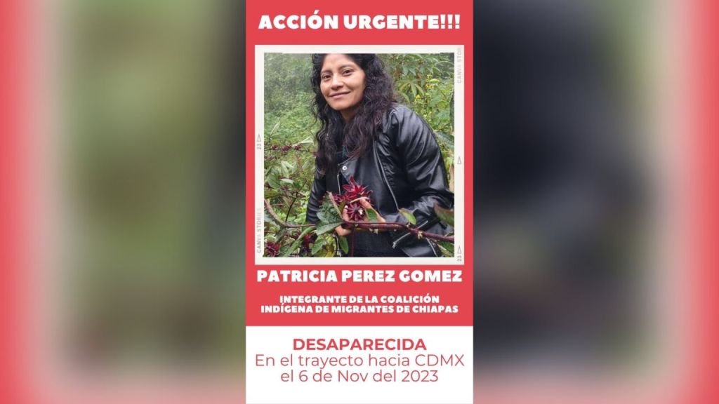 Desaparece activista chiapaneca cuando viajaba a la CDMX