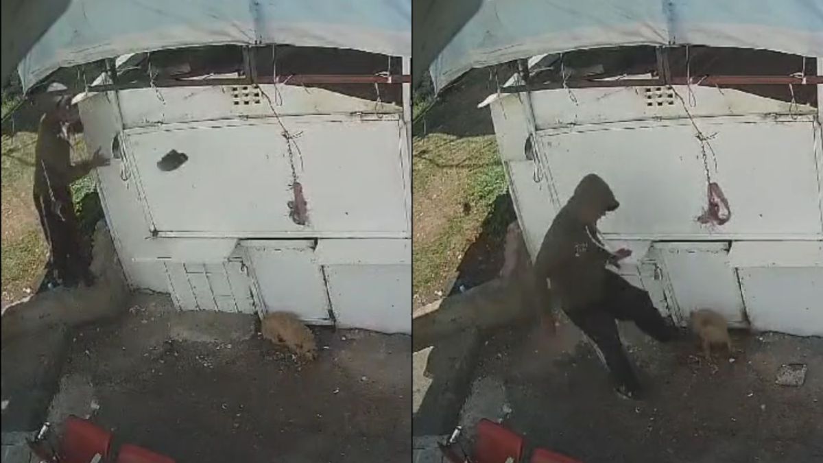 Trabajador de limpieza lanza piedra y patea a perrito en calles de Naucalpan